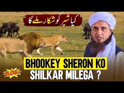 3DinKBhookeySheronKoShilkarMiega